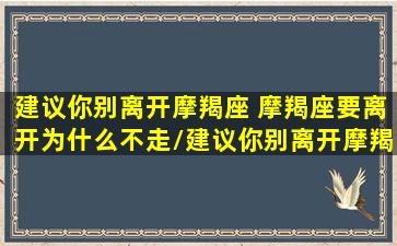 建议你别离开摩羯座 摩羯座要离开为什么不走/建议你别离开摩羯座 摩羯座要离开为什么不走-我的网站